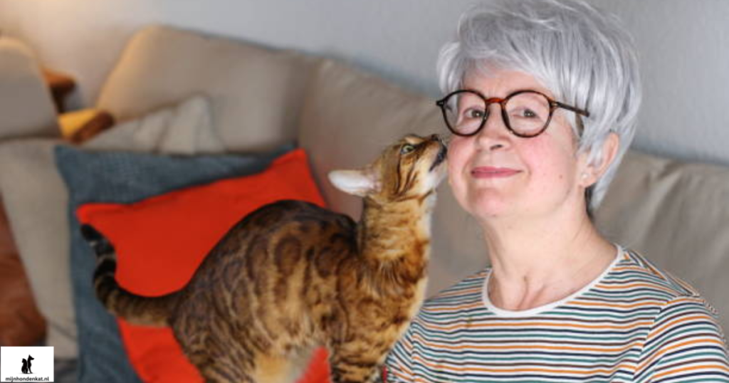 eigenaren zijn dol op zijn savannah kat.
