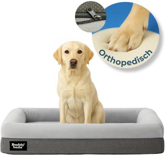 Buddy Beds Orthopedische Hondenmand Large – Comfort en Ondersteuning voor je Hond