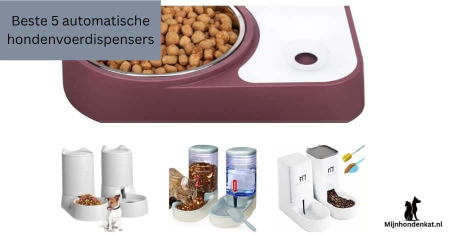 Beste 5 automatische hondenvoerdispensers