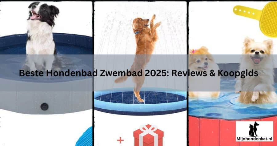 Beste Hondenbad Zwembad 2025 Reviews & Koopgids